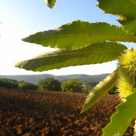 アパート Agriristoro Podere S. Andrea マッサ・マリッティマ