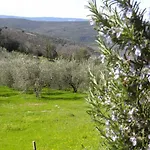 Agriristoro Podere S. Andrea