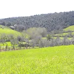 아파트 Agriristoro Podere S. Andrea 마사마리티마