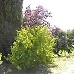 아파트 Agriristoro Podere S. Andrea 마사마리티마