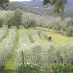 Agriristoro Podere S. Andrea *