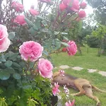 Agriristoro Podere S. Andrea 아파트 마사마리티마