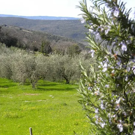Agriristoro Podere S. Andrea