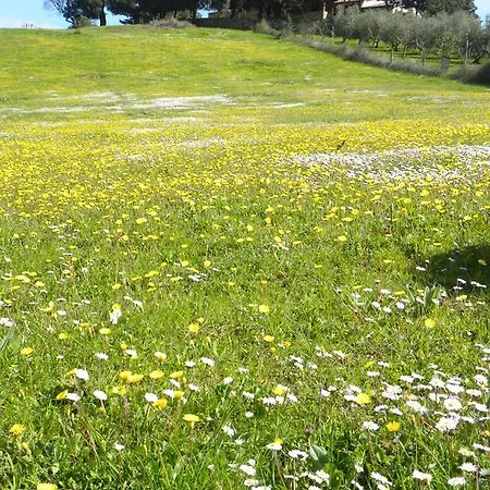 Apartamento Agriristoro Podere S. Andrea Massa Marittima