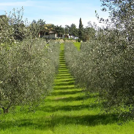 Agriristoro Podere S. Andrea