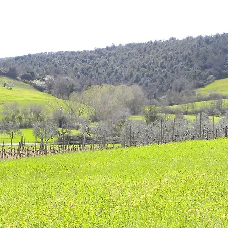 Apartamento Agriristoro Podere S. Andrea Massa Marittima