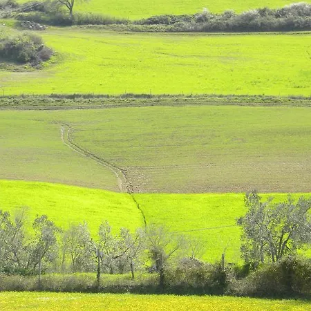 Agriristoro Podere S. Andrea Massa Marittima