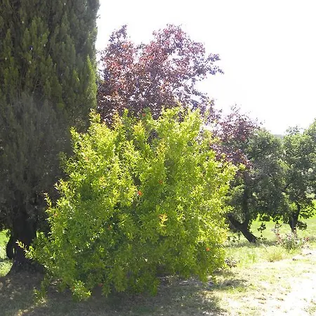 Appartement Agriristoro Podere S. Andrea Massa Marittima