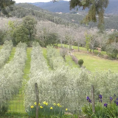 Agriristoro Podere S. Andrea *