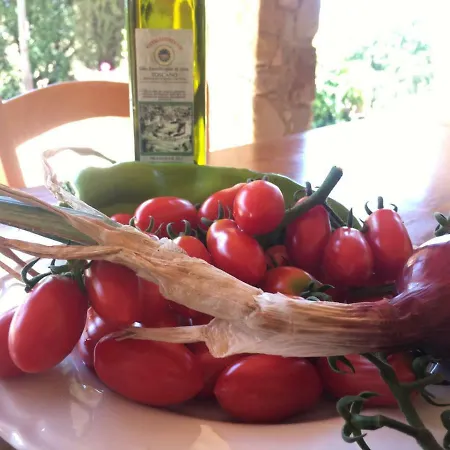 Agriristoro Podere S. Andrea Appartement