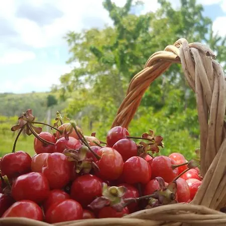 Agriristoro Podere S. Andrea Apartamento